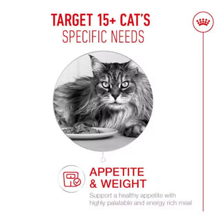 Royal Canin Wet FHN Ageing 15+ Chunks In Gravy 12 x 85g