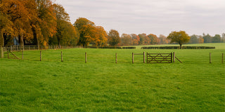 Autumn Pasture Management: Reseeding, Fencing and Gateways