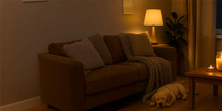 Cosy Touches for Early Autumn: Warm Lighting and Simple Comforts