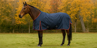 Horse Rugging for Autumn: What to Choose