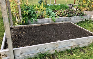 Preparing Your Garden for Winter: Simple Steps for a Healthy Spring