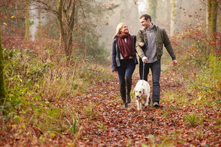 Autumn Pet Care Tips: Keep Your Pets Healthy, Warm and Happy