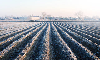 January on the Farm: Winter Maintenance & Livestock Care