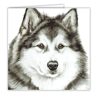 Waggy Dogz Greetings Card