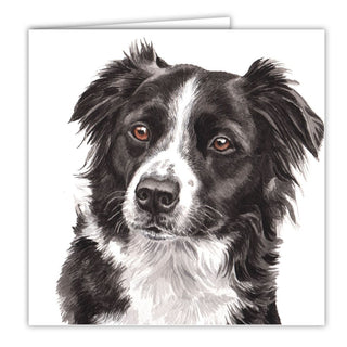 Waggy Dogz Greetings Card