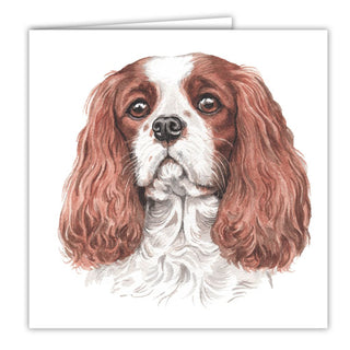 Waggy Dogz Greetings Card