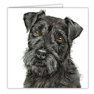 Waggy Dogz Greetings Card