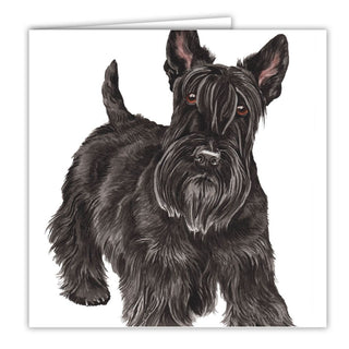 Waggy Dogz Greetings Card