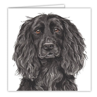 Waggy Dogz Greetings Card
