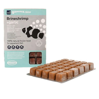 Gamma Frozen Brine & Garlic Blister Pack
