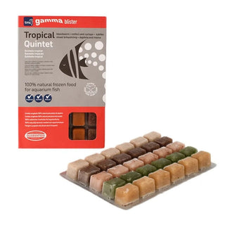 Gamma Frozen Tropical Quintet Blister Pack