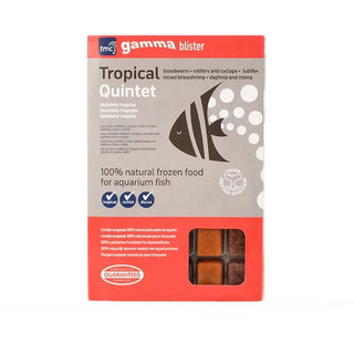 Gamma Frozen Tropical Quintet Blister Pack