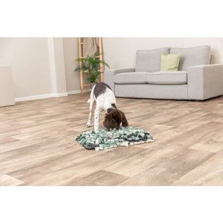 Sniffing Carpet Strategy Game