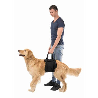 Trixie Lifting Aid