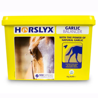Horslyx Stable Refil Garlic