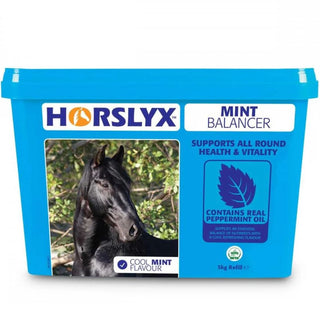 Horslyx Balancer Lick Refill Mint
