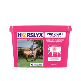 Horslyx Balancer Lick Pro Digest