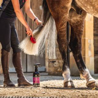 Carr Day & Martin Canter Mane And Tail Conditioner Spray
