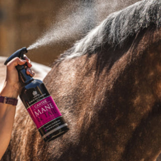 Carr Day & Martin Canter Mane And Tail Conditioner Spray