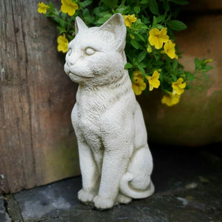 Sparta Cat Serene