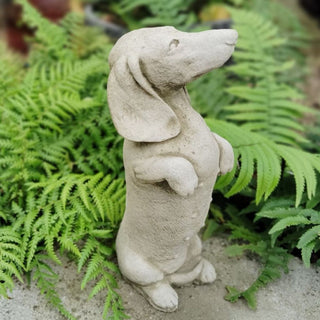 Sparta Dachshund