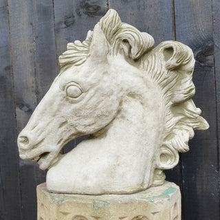 Sparta Horse Head