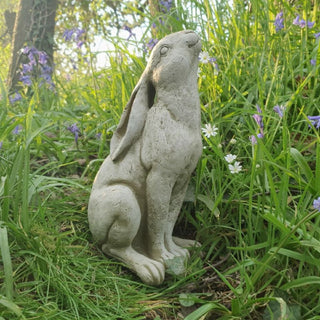 Sparta Moon Gazing Hare