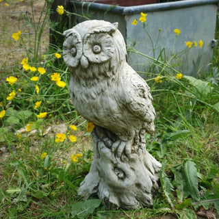 Sparta Owl On Log