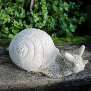 Sparta Snail