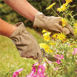 Briers Premium Olive Gardeners Gloves Olive Green Large
