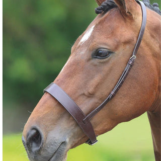 Velociti GARA Hunter Cavesson Noseband