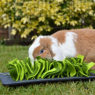 Rosewood Snuffle Forage Mat
