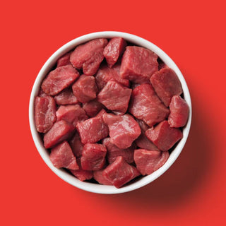 Nutriment Cat Range Beef Formula Tray 500g