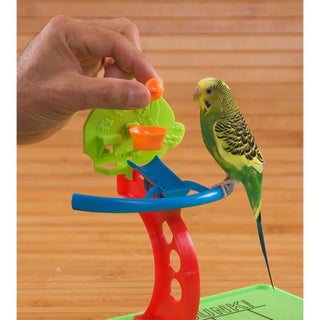 Birdie Basketball Gym