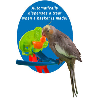 Birdie Basketball Gym