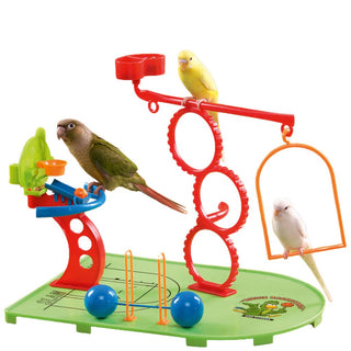 Birdie Basketball Gym