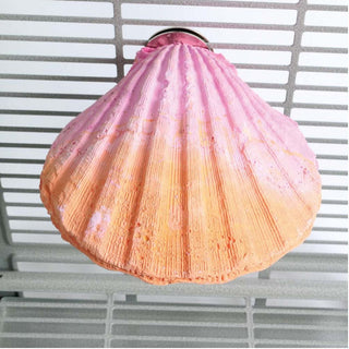 Edible Calcium Clam Parrot Perch Large