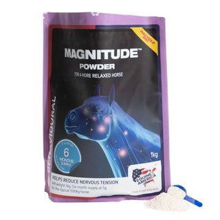 Equine America Magnitude