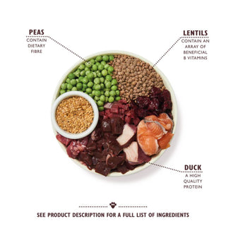 Lily's Kitchen Wild Woodland Walk Duck Salmon & Venison