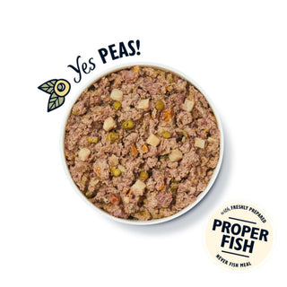 Lily's Kitchen Dog Tin Fishy Fish Pie With Peas