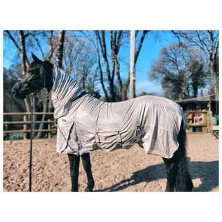 Legacy Andromeda Fly Rug