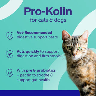 Protexin Pro-Kolin+