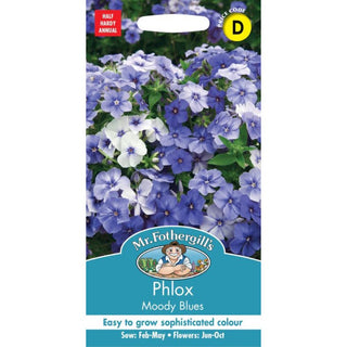 Mr Fothergills Phlox Moody Blues