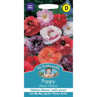 Mr Fothergills Poppy Dawn Chorus