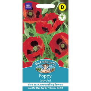 Mr Fothergills Poppy Ladybird