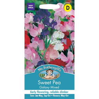 Mr Fothergills Sweet Pea Galaxy