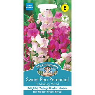 Mr Fothergills Sweet Pea Perennial Everlasting Mixed