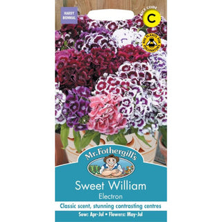 Mr Fothergills Sweet William Electron