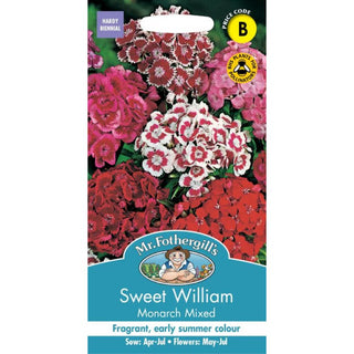 Mr Fothergills Sweet William Monarch Mixed