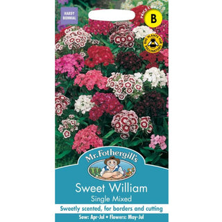 Mr Fothergills Sweet William Single Mixed